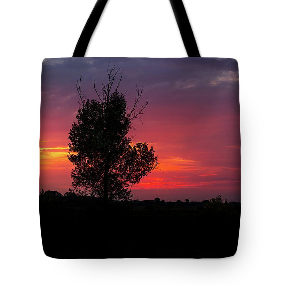 Danube Tote Bag featuring the photograph Sunset at the Danube Banks by Celso Bressan