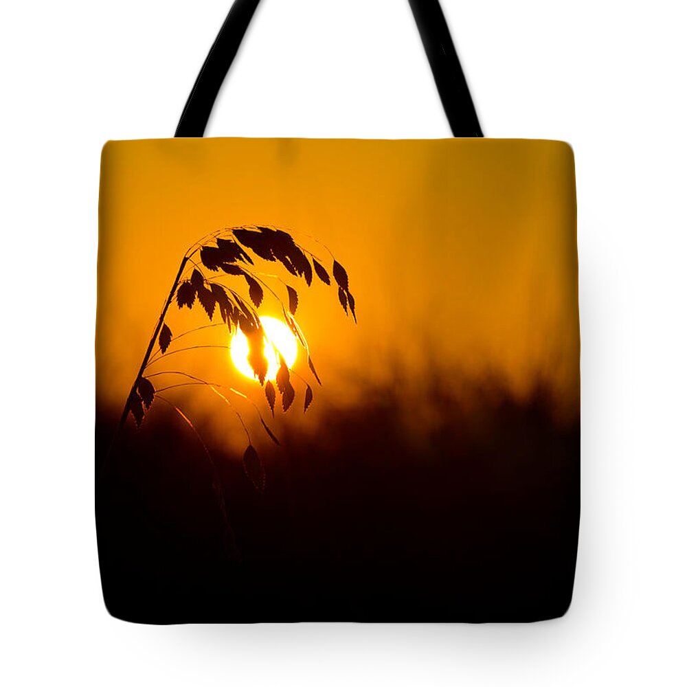 Beautiful Photo Tote Bag featuring the photograph Sunset Beach by Kevin Cable