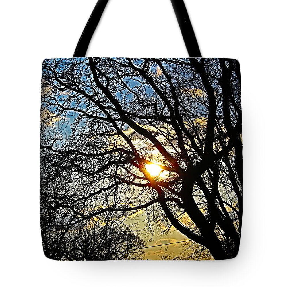 Sunset Tote Bag featuring the photograph Sunset Beyond The Trees by Molly Roberts