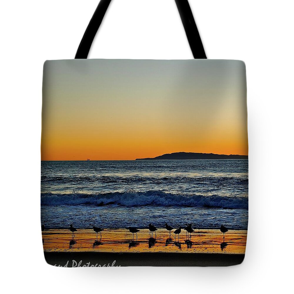  Tote Bag featuring the photograph Sunset Bird Reflections by Liz Vernand