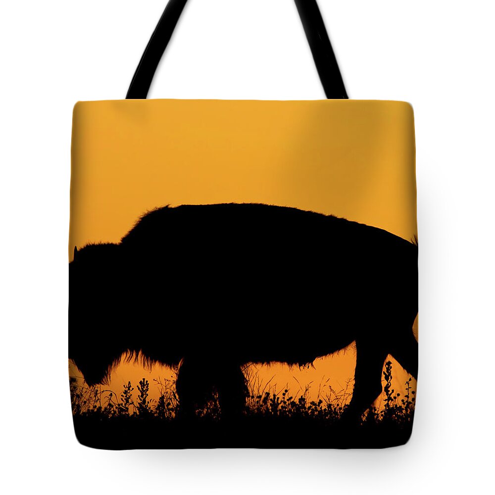 Kansas Tote Bag featuring the photograph Sunset Bison 2 by Rob Graham