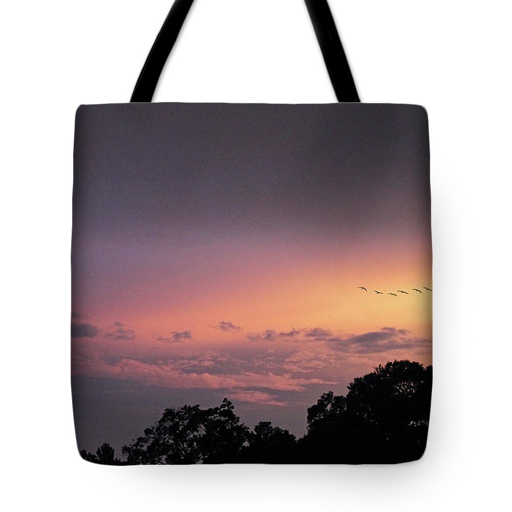 Sunset Tote Bag featuring the photograph Sunset Flight by Jessica Jenney