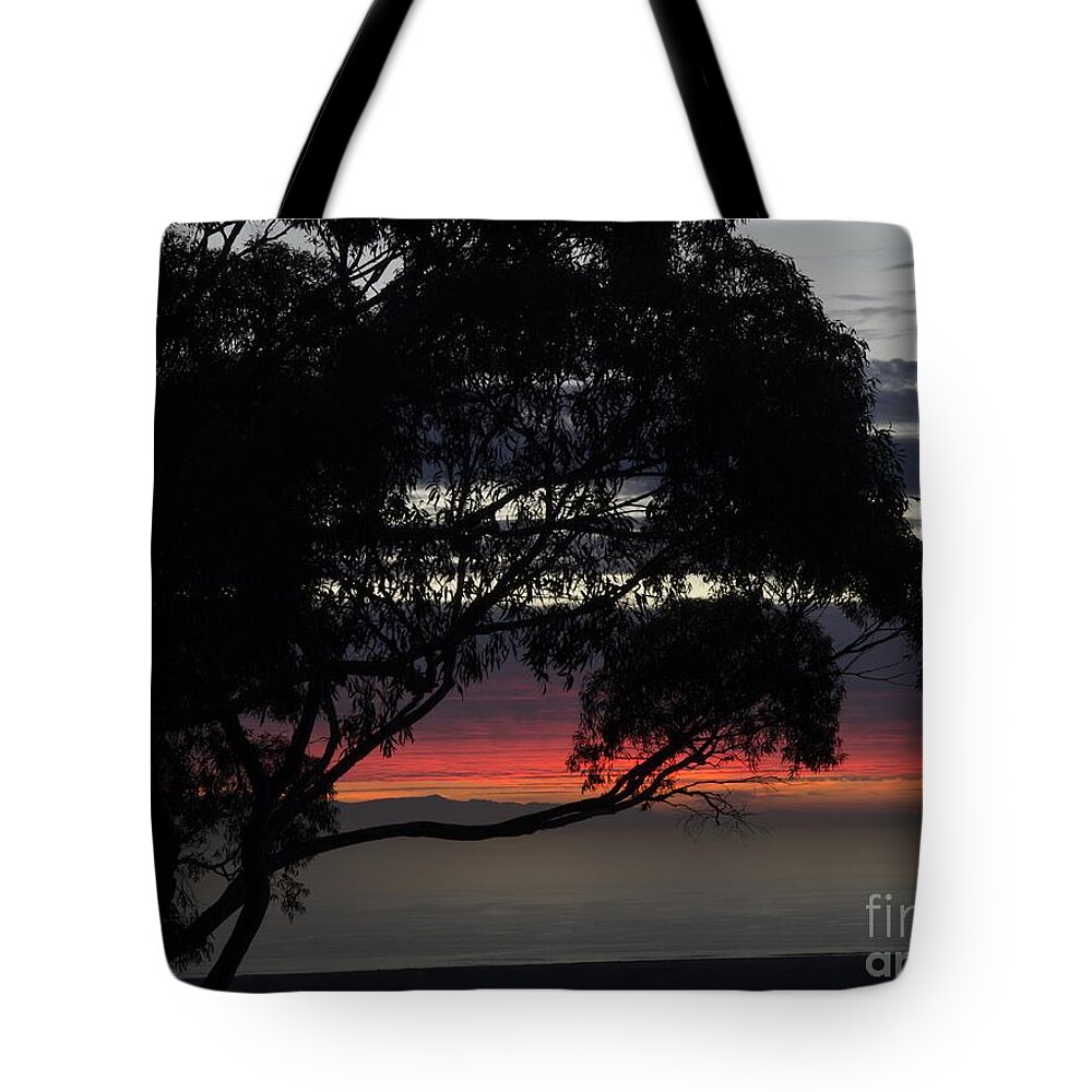 Tree Tote Bag featuring the photograph Sunset Hill by Mathias 