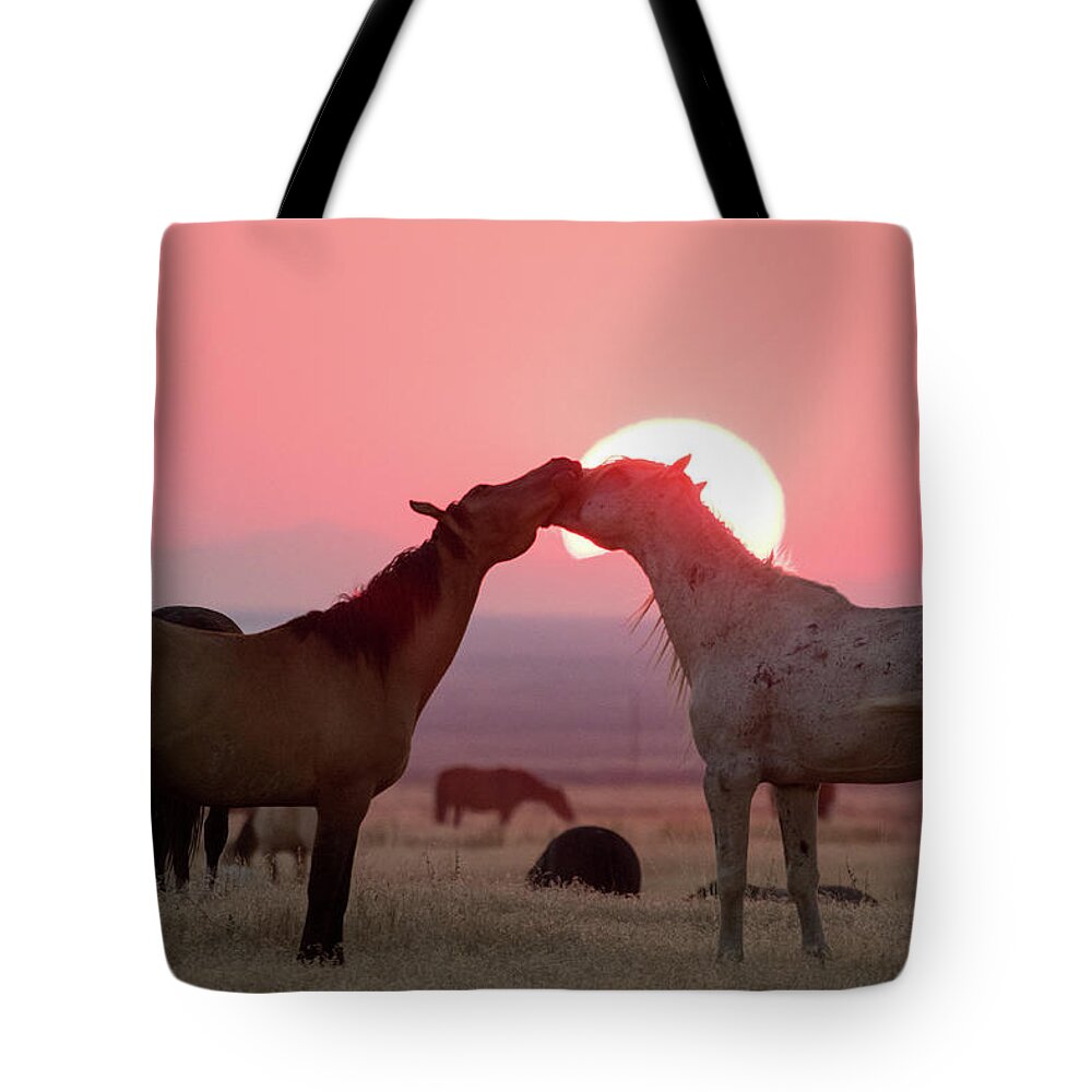 Wild Horses Tote Bag featuring the photograph Sunset Horses by Wesley Aston