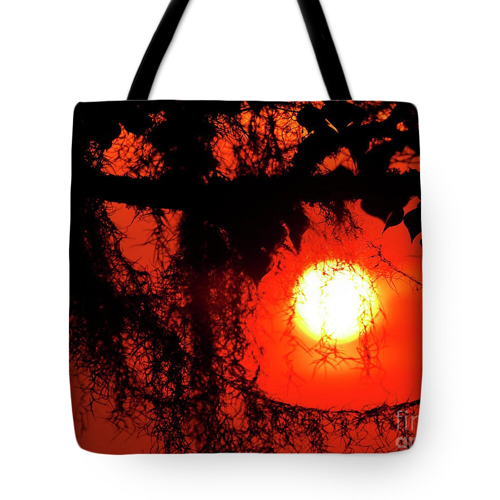 Louisiana Sunset Tote Bag featuring the photograph Sunset in Moss Tree by Luana K Perez