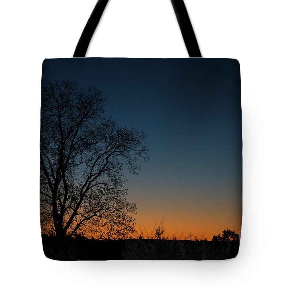 Sunset Tote Bag featuring the photograph Sunset in November by Cathy Fitzgerald