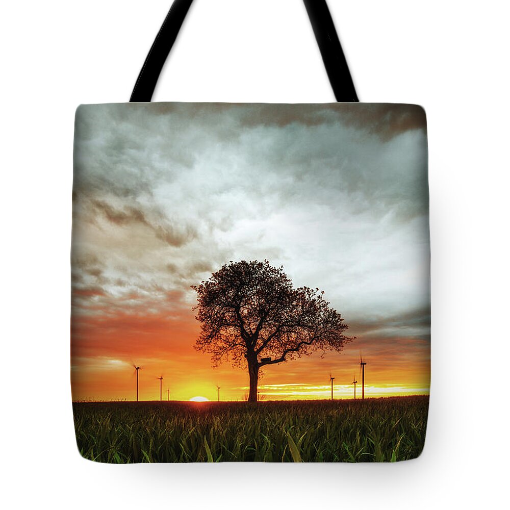 Tree Tote Bag featuring the photograph Sunset by Marc Braner