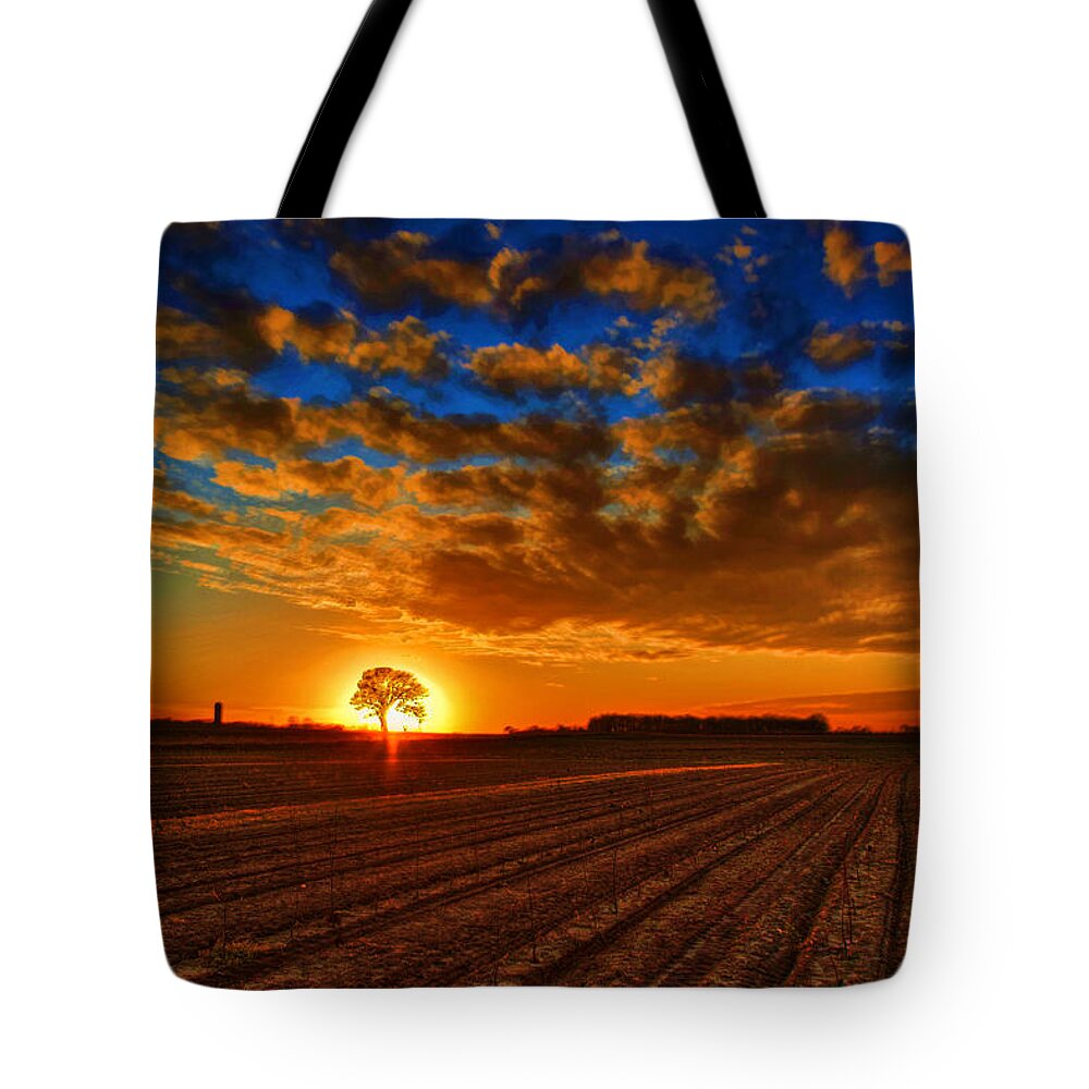 Sunset Tote Bag featuring the photograph Sunset Oak by Rod Melotte