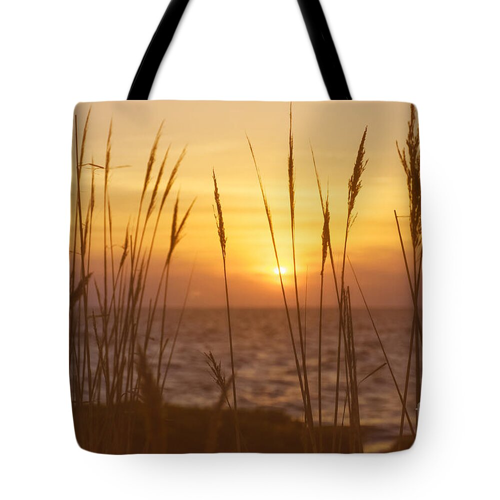 (sea Or Ocean Or Seascape) Tote Bag featuring the photograph Sunset on Delaware Bay by Debra Fedchin
