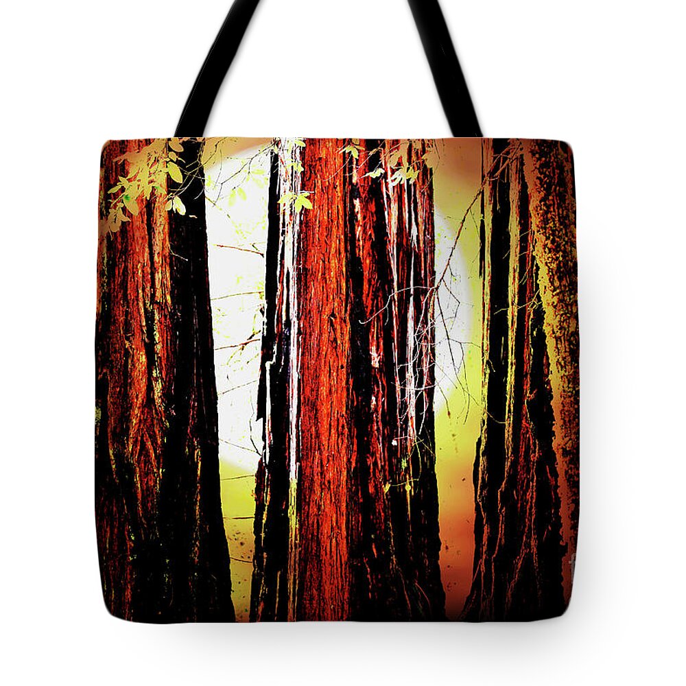 Tree Tote Bag featuring the photograph Sunset Over The Old Redwoods . 7D5433 by Wingsdomain Art and Photography