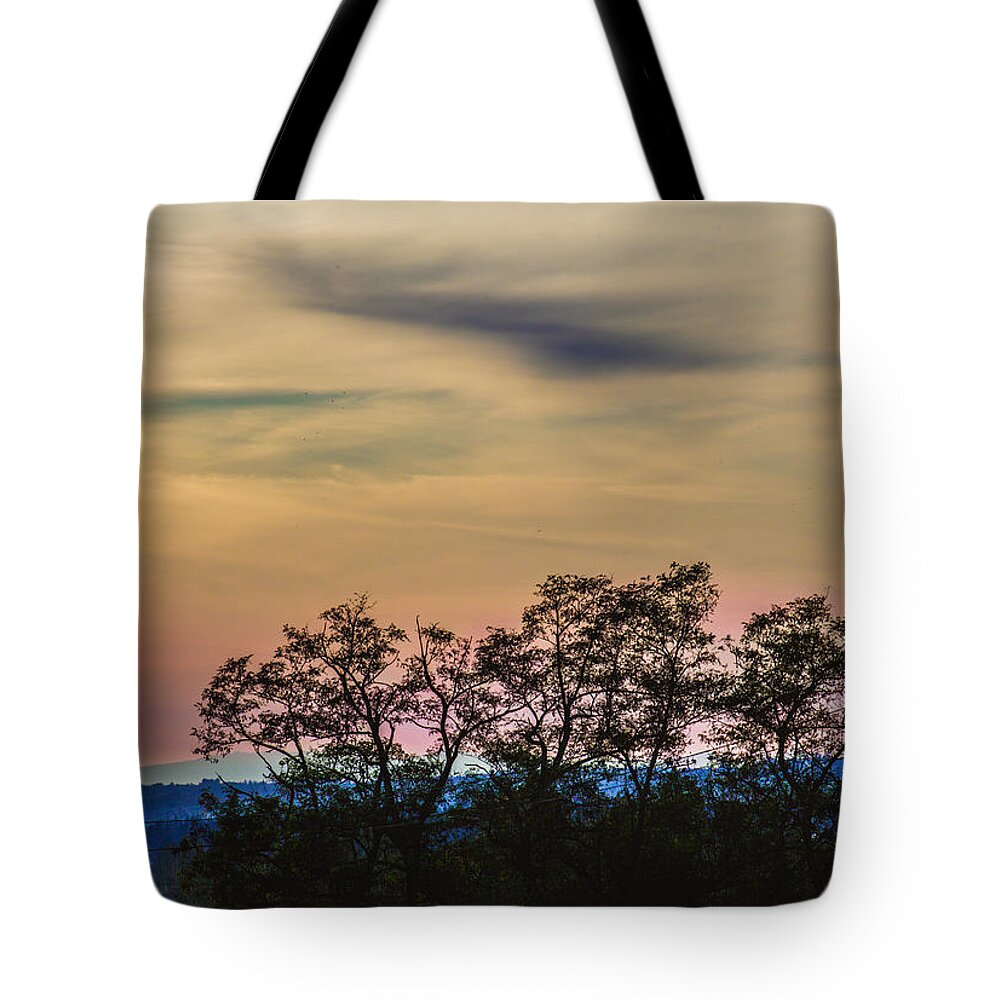 Lynden Tote Bag featuring the photograph Sunset Silhouette by Judy Wright Lott