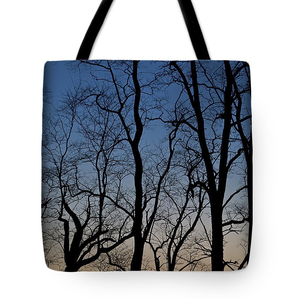 Tree Tote Bag featuring the photograph Sunset Silhouette by Steve Gadomski