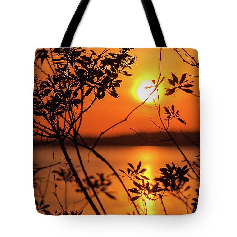 Georgia Tote Bag featuring the photograph Sunset Silhouettes by Stefan Mazzola