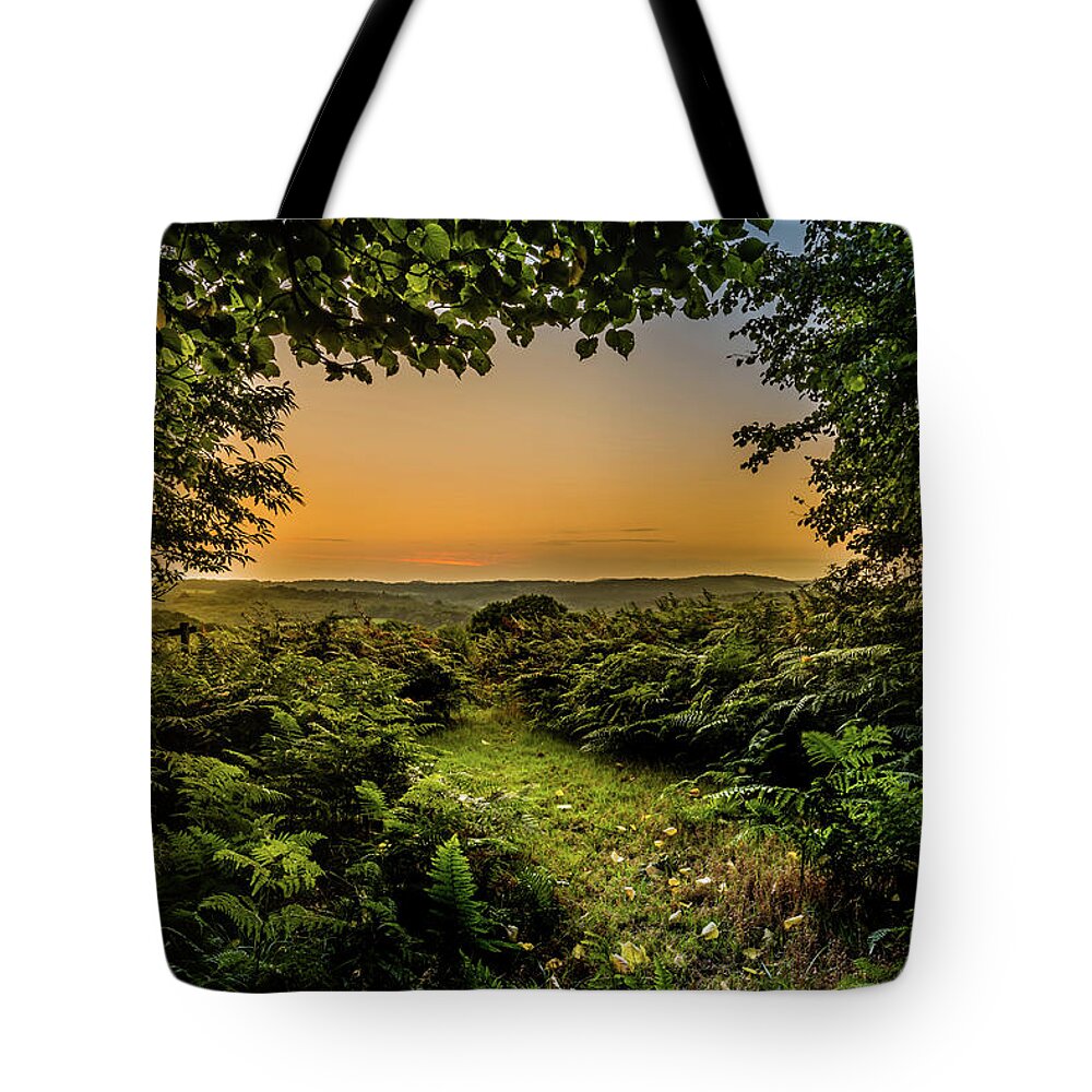Sunset Tote Bag featuring the photograph Sunset Through Trees by Nick Bywater