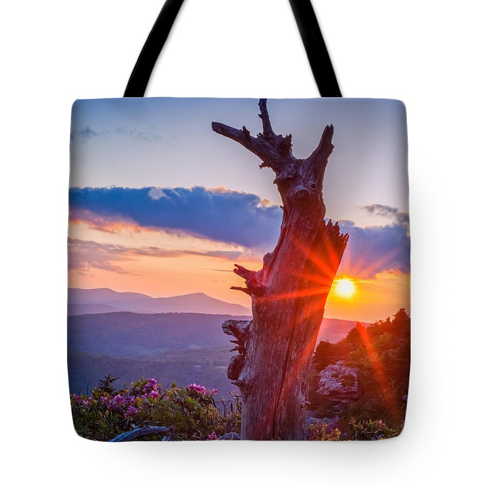 Joye Ardyn Durham Tote Bag featuring the photograph Sunset Tree by Joye Ardyn Durham