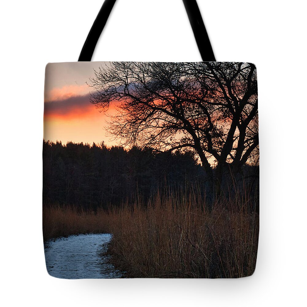 Madison Tote Bag featuring the photograph Sunset - UW Arboretum - Madison - Wisconsin by Steven Ralser