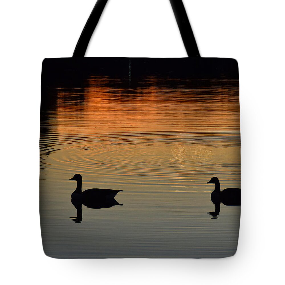 Ducks Tote Bag featuring the photograph Sunset View by Tricia Marchlik