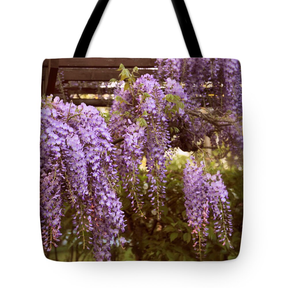 Wisteria Tote Bag featuring the photograph Sunset Wisteria by Jessica Jenney