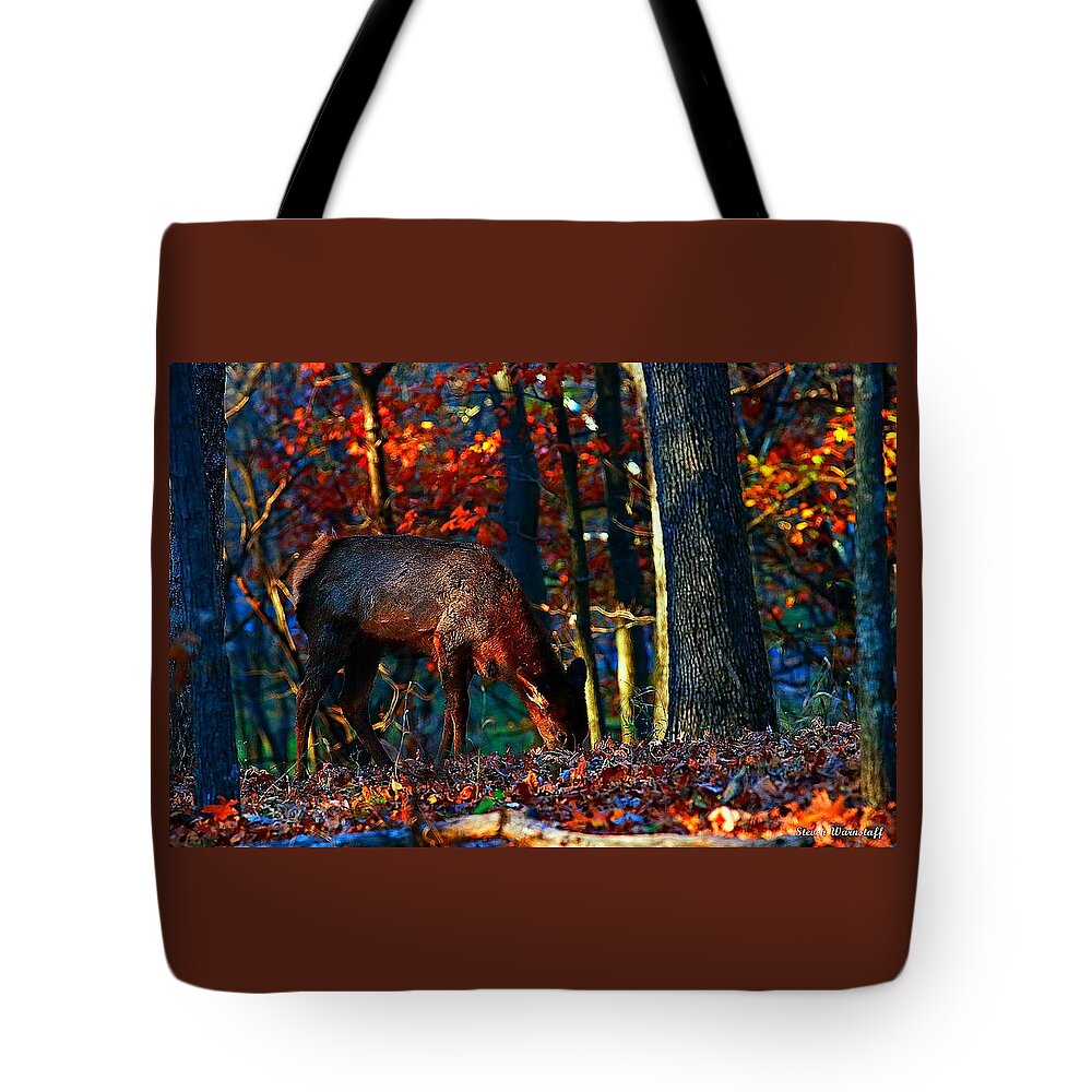 Elk Tote Bag featuring the photograph Sunset With A Calf by Steve Warnstaff