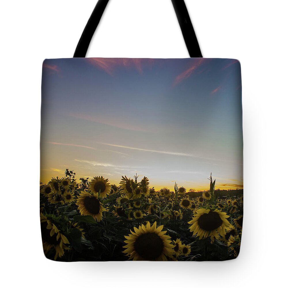 Landscape Tote Bag featuring the photograph Sunset with Sunflowers at Andersen Farms by GeeLeesa Productions