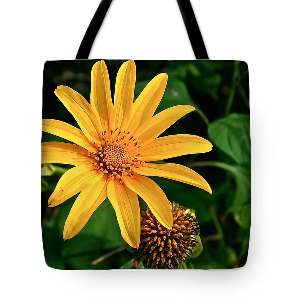 Flower Tote Bag featuring the photograph Sunshine Cheerleader by Kathleen Scanlan