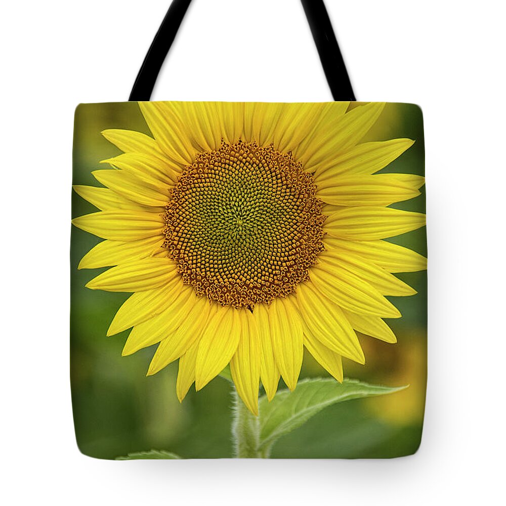 Sunflower Tote Bag featuring the photograph Sunshine by Erika Fawcett