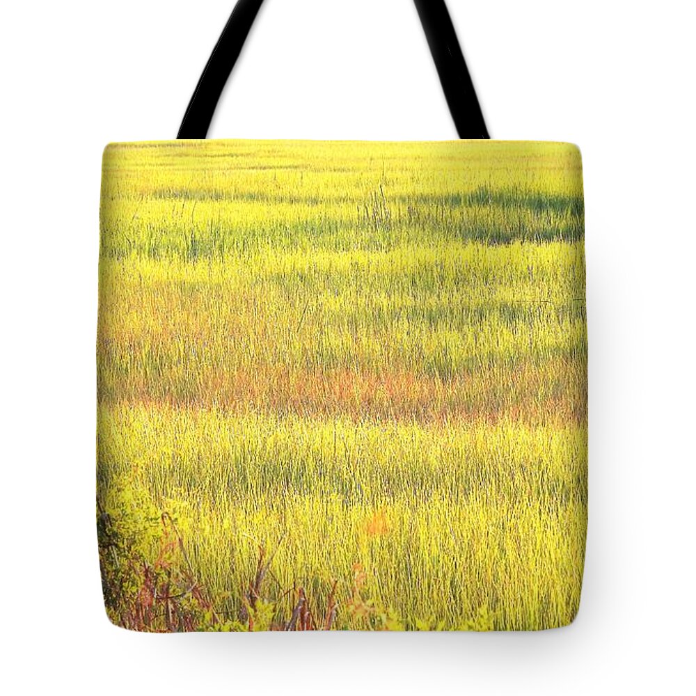 Marsh Tote Bag featuring the photograph Sunshine Palette On The Marsh by Jan Gelders