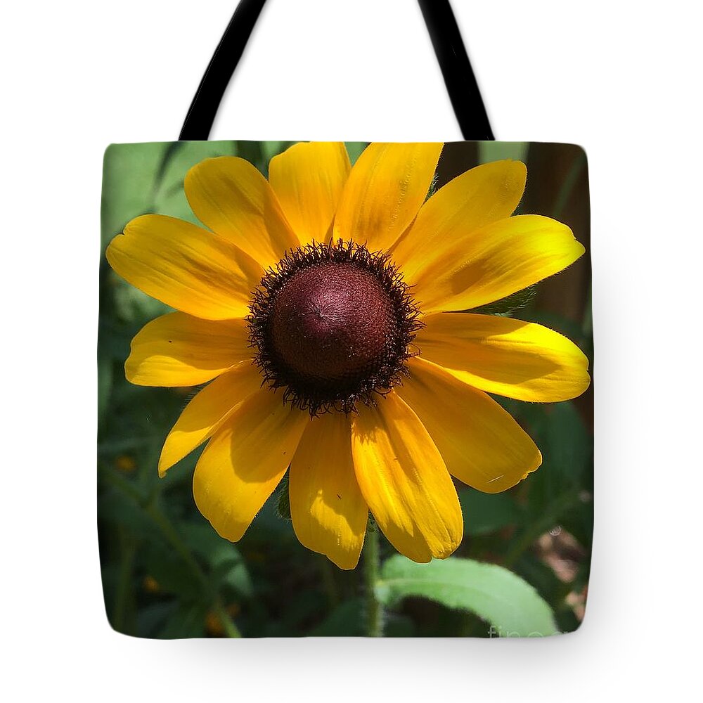 Sunflower Tote Bag featuring the photograph Sunshine by Pamela Henry