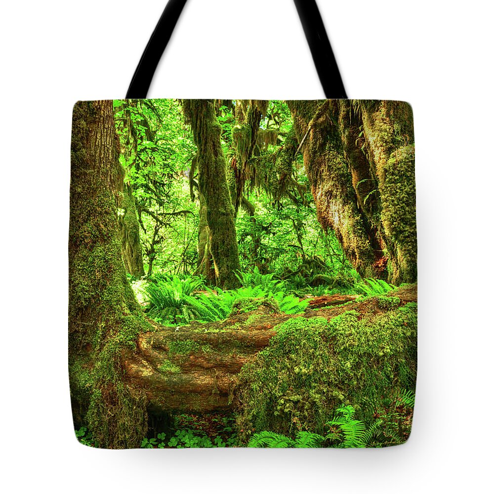 Olympic National Park Tote Bag featuring the photograph Super Green Rainforest by Spencer McDonald