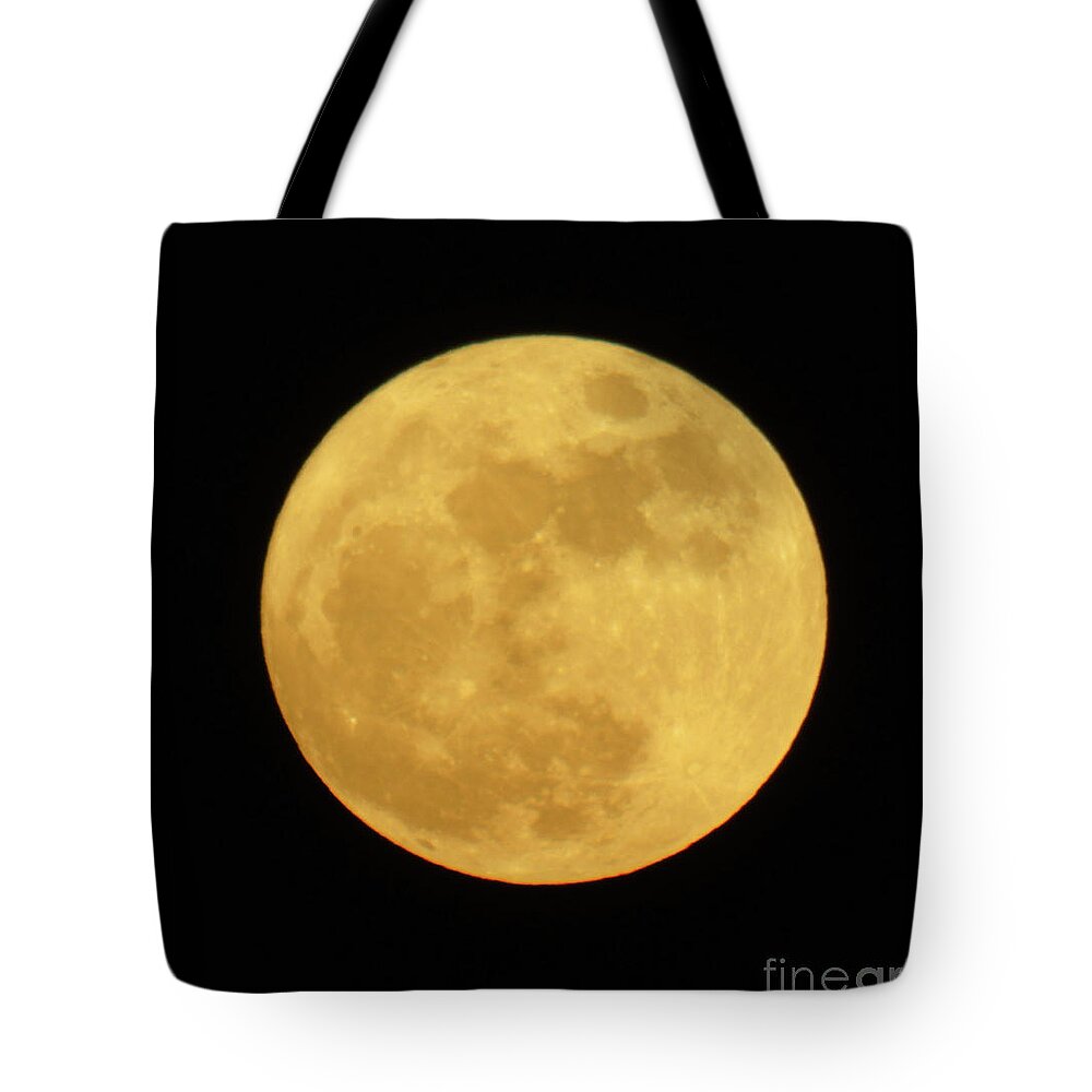 Supermoon Tote Bag featuring the photograph Super Moon December 2016 by D Hackett