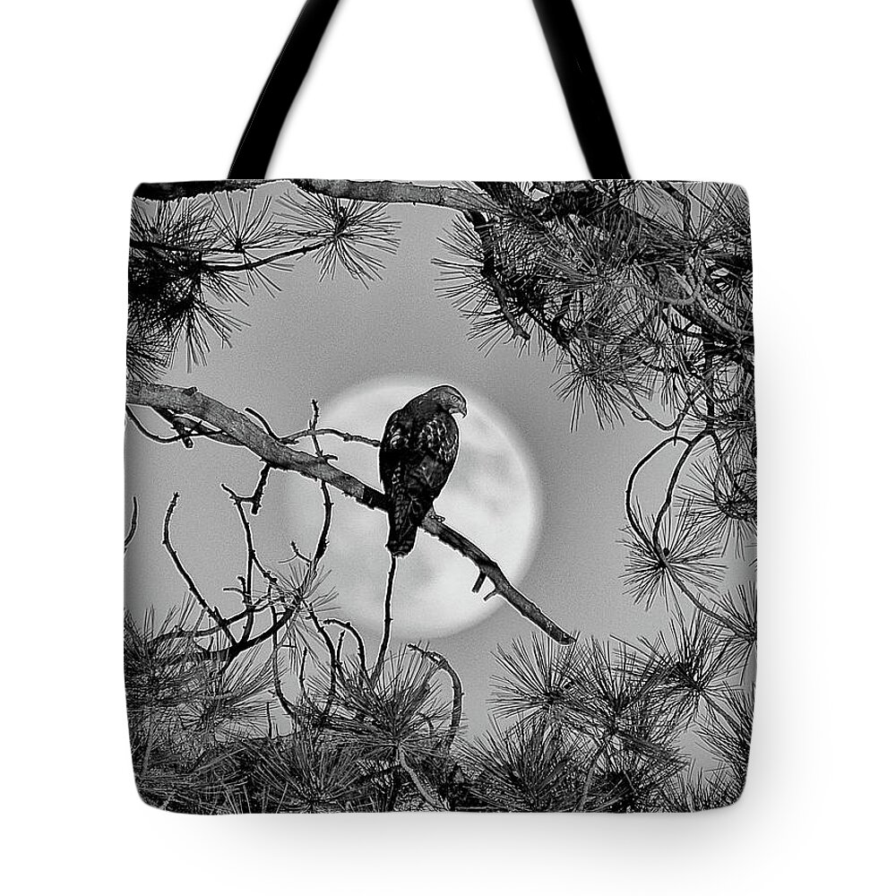 Hawk Tote Bag featuring the photograph Super Moon Hawk by Kevin Munro