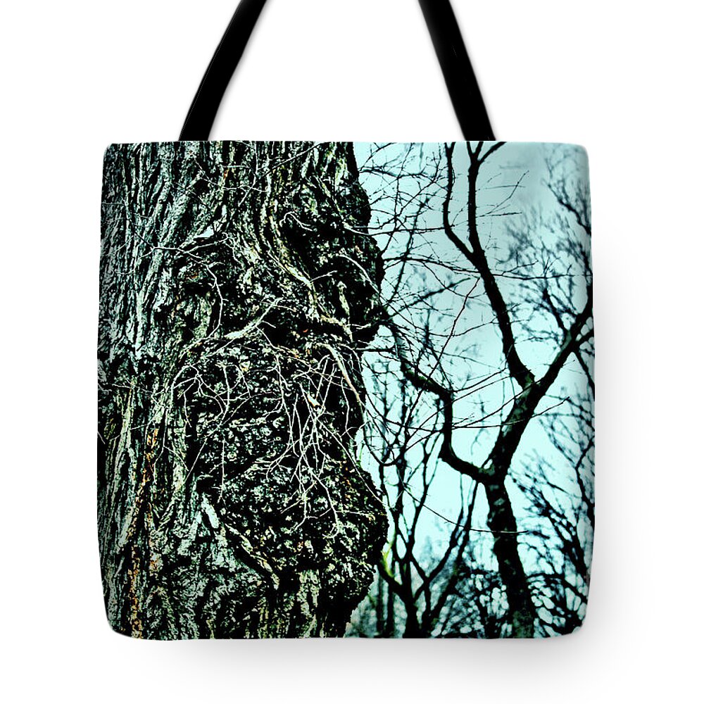 Tree Tote Bag featuring the photograph Super Tree by Sandy Moulder