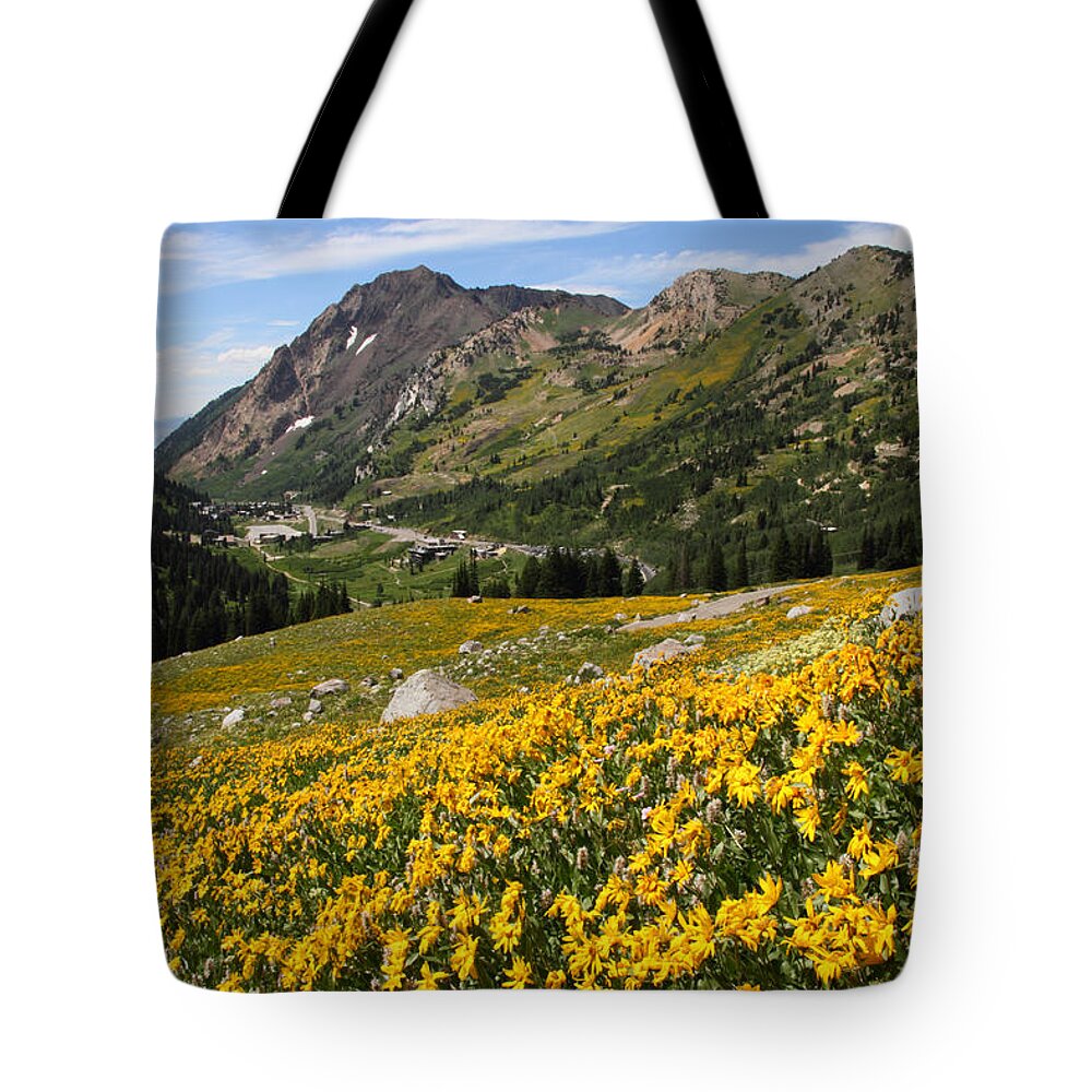 Landscape Tote Bag featuring the photograph Superior Wasatch Wildflowers by Brett Pelletier