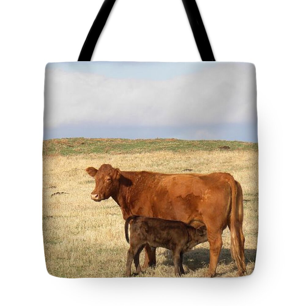 Cow Tote Bag featuring the photograph Suppertime by Annie Adkins