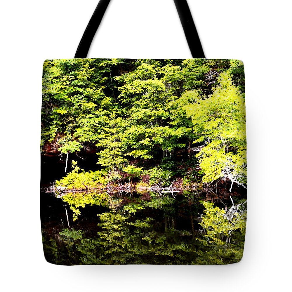  Water Reflection Tote Bag featuring the photograph Surreal Springs Reflection by Stacie Siemsen