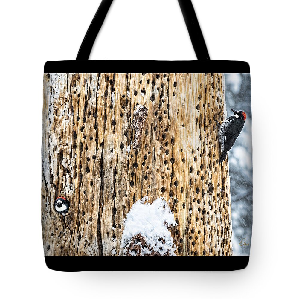 Birds Tote Bag featuring the photograph Survivors by Dan McGeorge