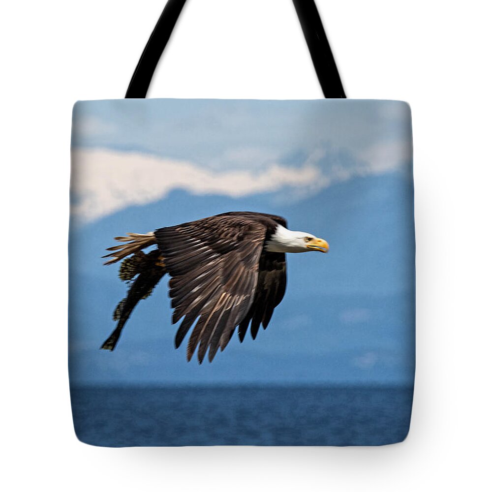 Bald Eagle Tote Bag featuring the photograph Sushi To Go by Randy Hall