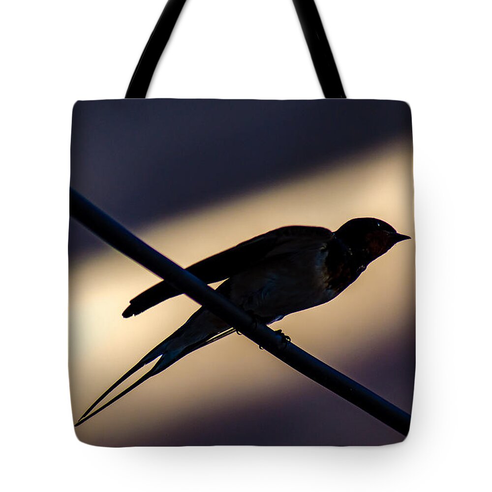 Speed Tote Bag featuring the photograph Swallow Speed by Rainer Kersten