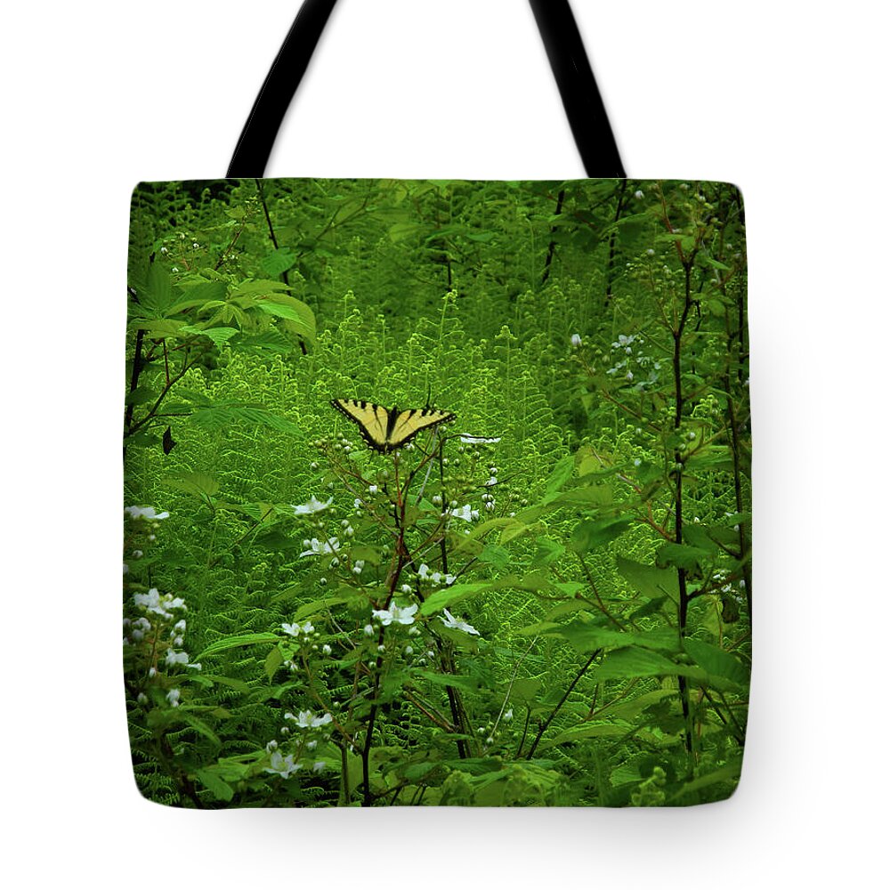 Swallow Tail On Wildflowers Tote Bag featuring the photograph Swallow Tail on Wildflowers by Raymond Salani III