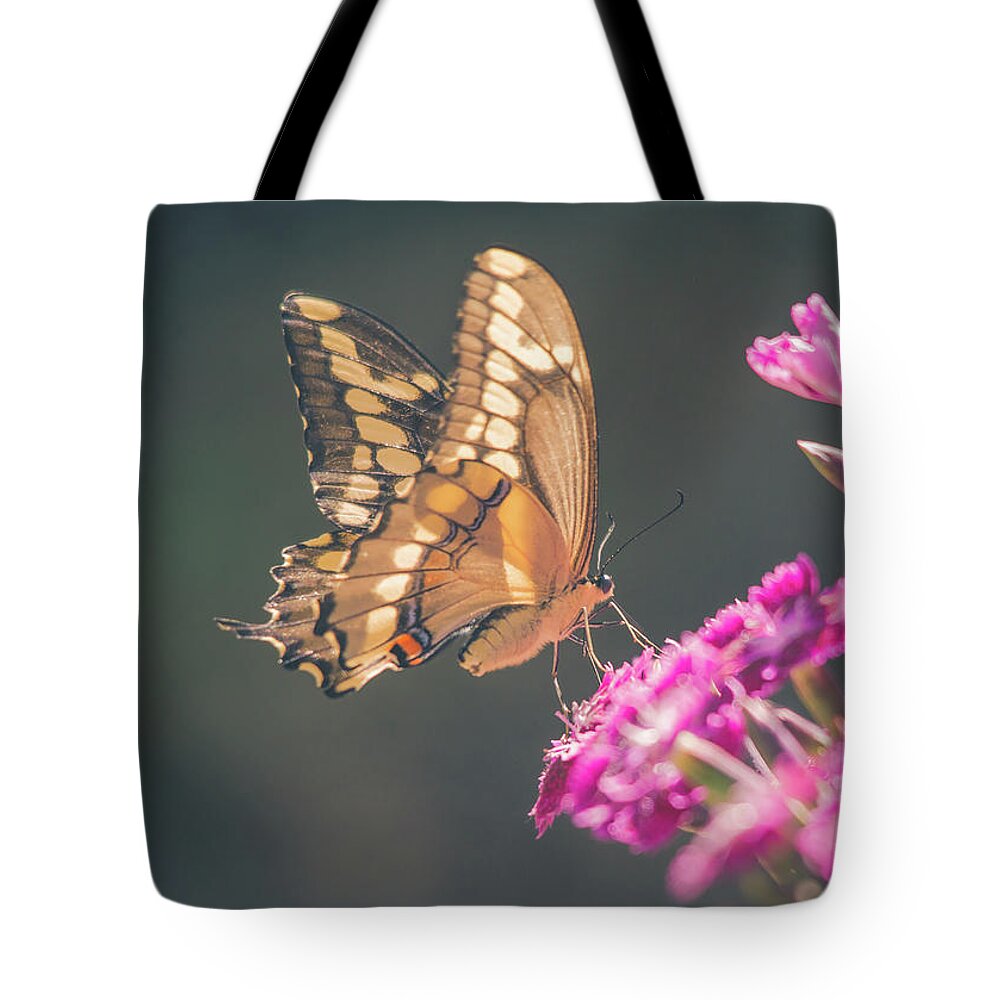 Cheryl Baxter Photography Tote Bag featuring the photograph Swallowtail Butter Fly On Dianthus by Cheryl Baxter