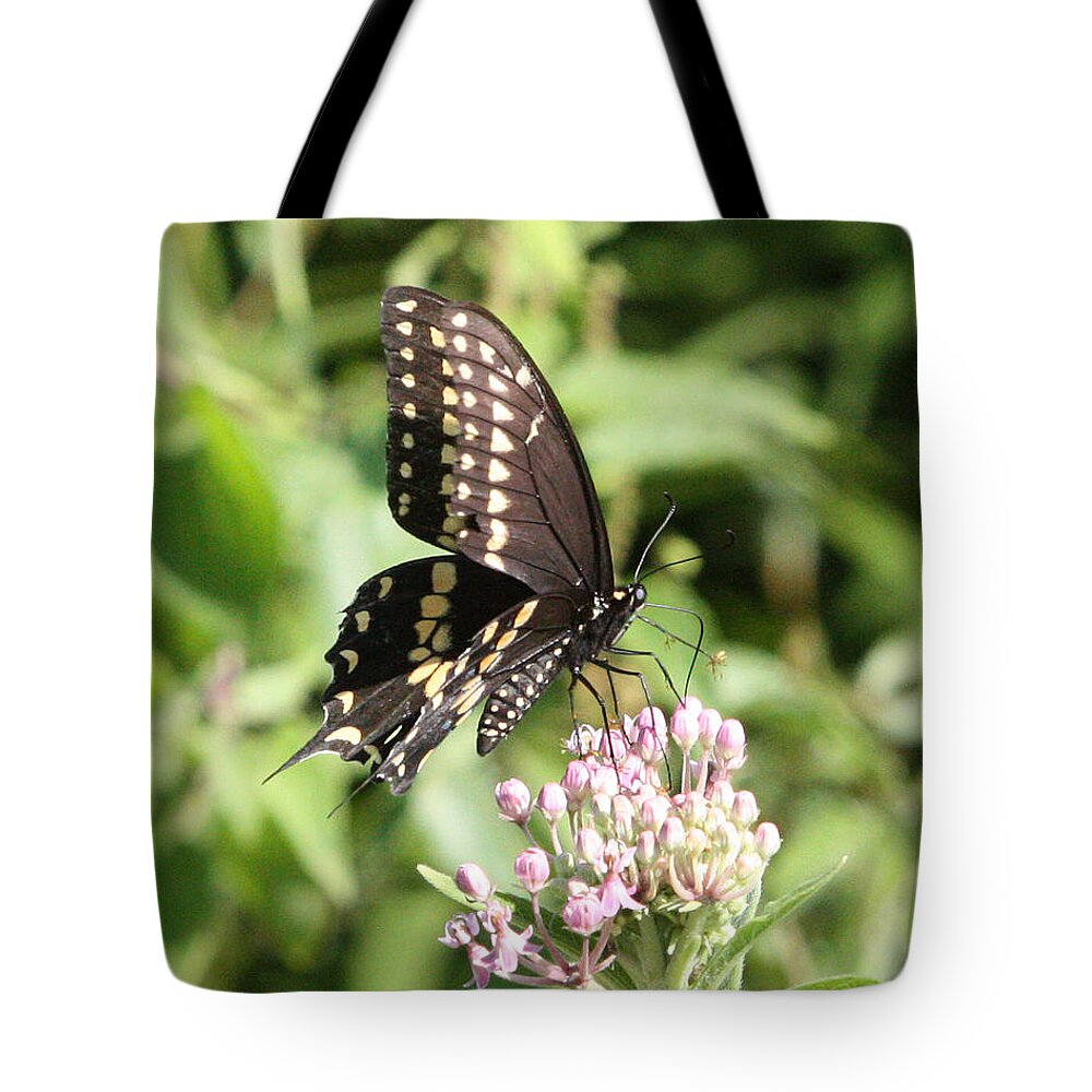 Butterfly Tote Bag featuring the photograph Swallowtail Butterfly 3 by Captain Debbie Ritter