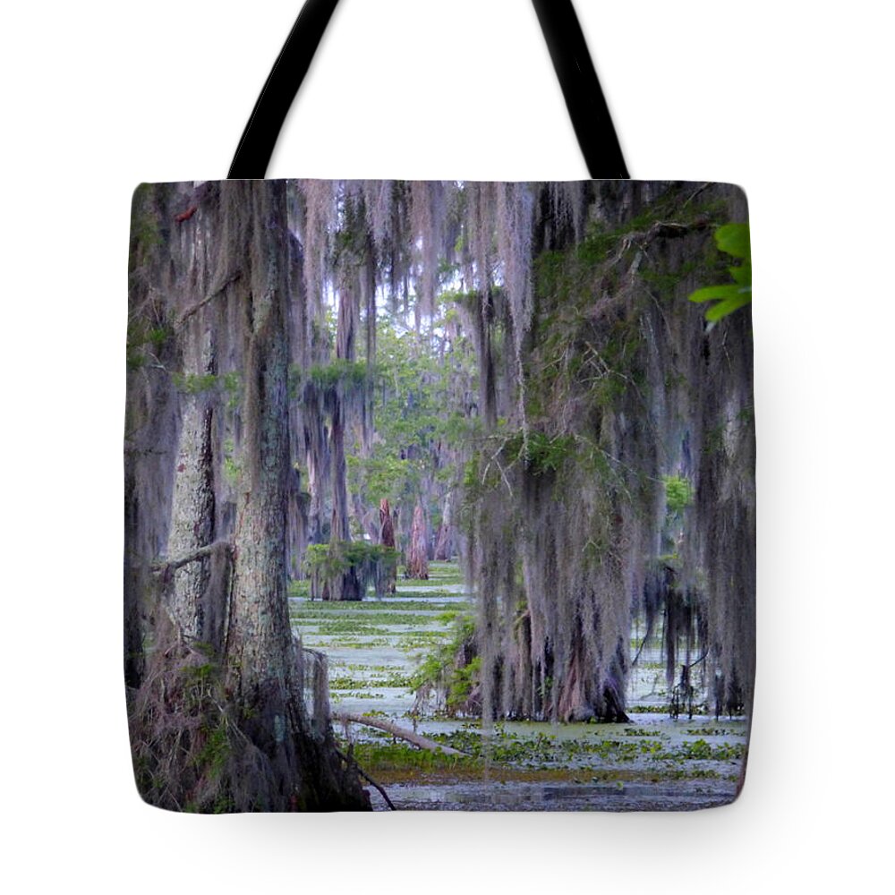 Orcinusfotograffy Tote Bag featuring the photograph Swamp Curtains In April by Kimo Fernandez