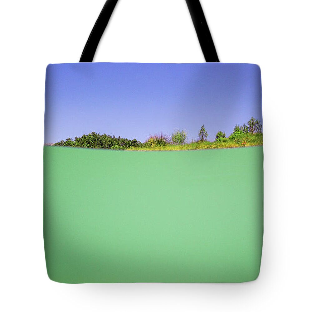 Swim Tote Bag featuring the photograph Swamp by Gemma Silvestre