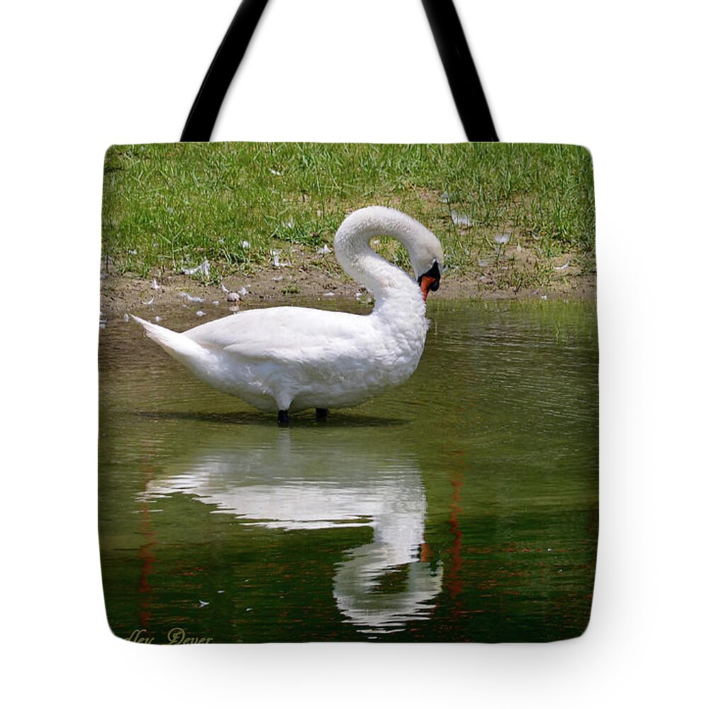 Art Tote Bag featuring the photograph Swan Arch by Bradley Dever