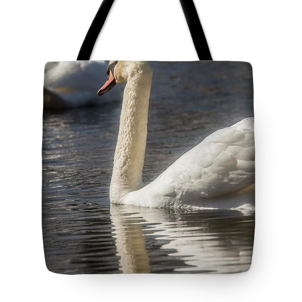 Swan Tote Bag featuring the photograph Swan by David Bearden