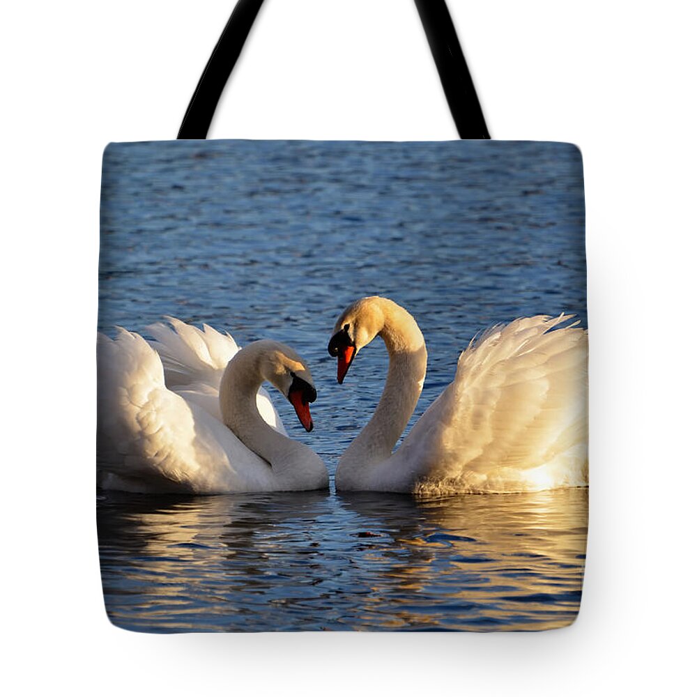 Swan Tote Bag featuring the photograph Swan heart by Mats Silvan