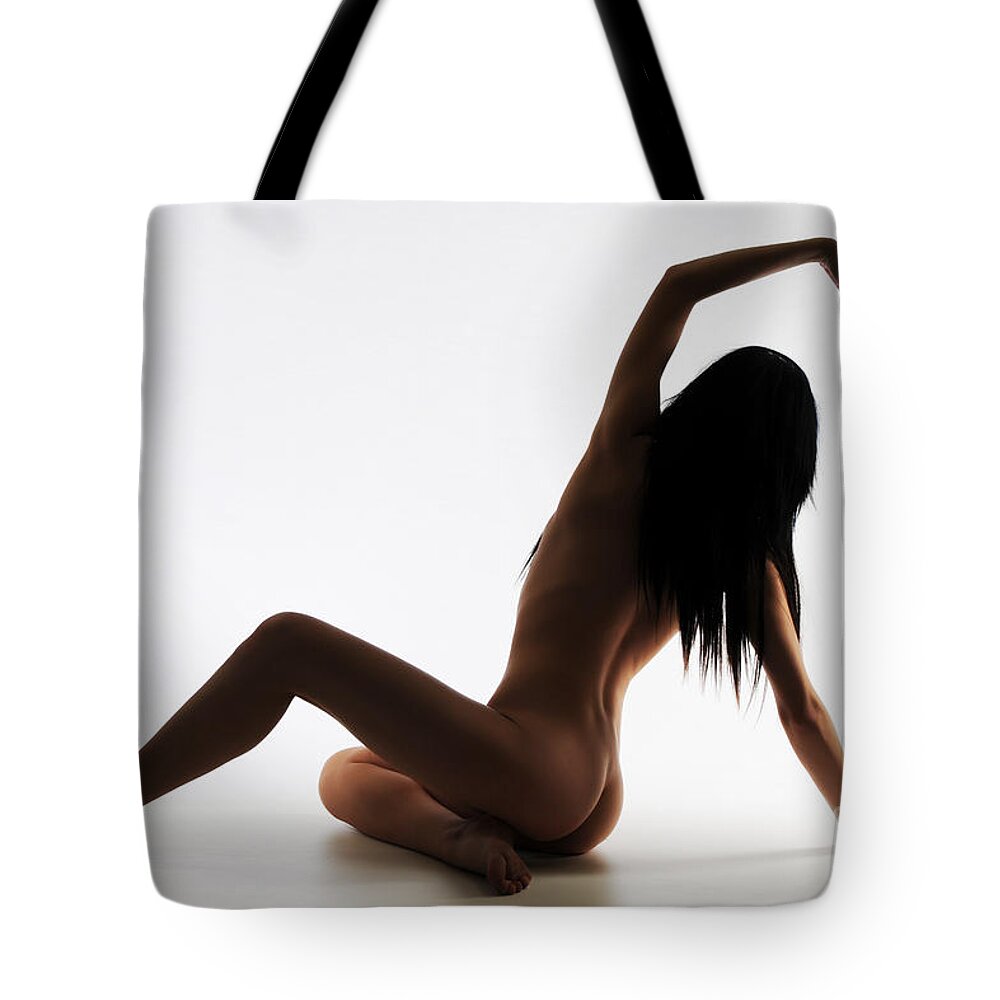 Artistic Photographs Tote Bag featuring the photograph Swan Lake by Robert WK Clark
