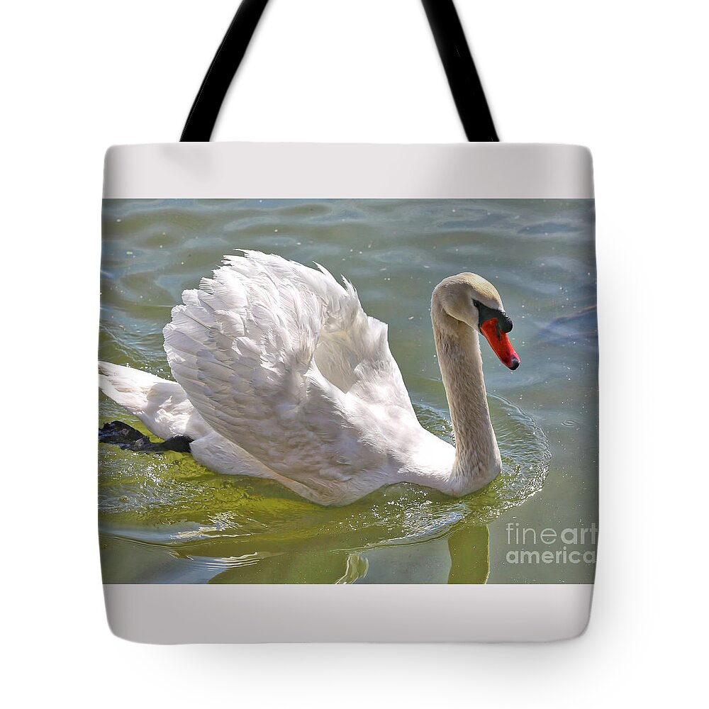 Swan Tote Bag featuring the photograph Swan Swimming By by Carol Groenen
