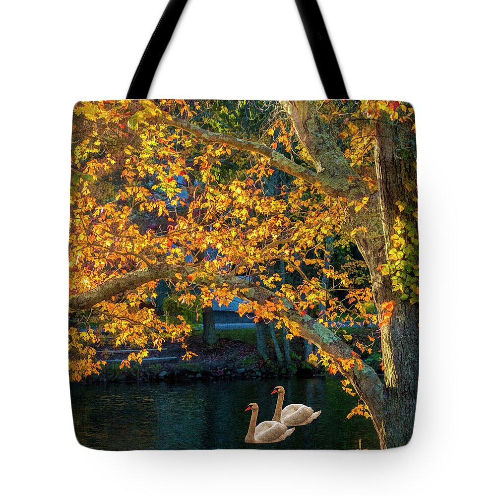 Autumn Tote Bag featuring the photograph Swans by Cathy Kovarik