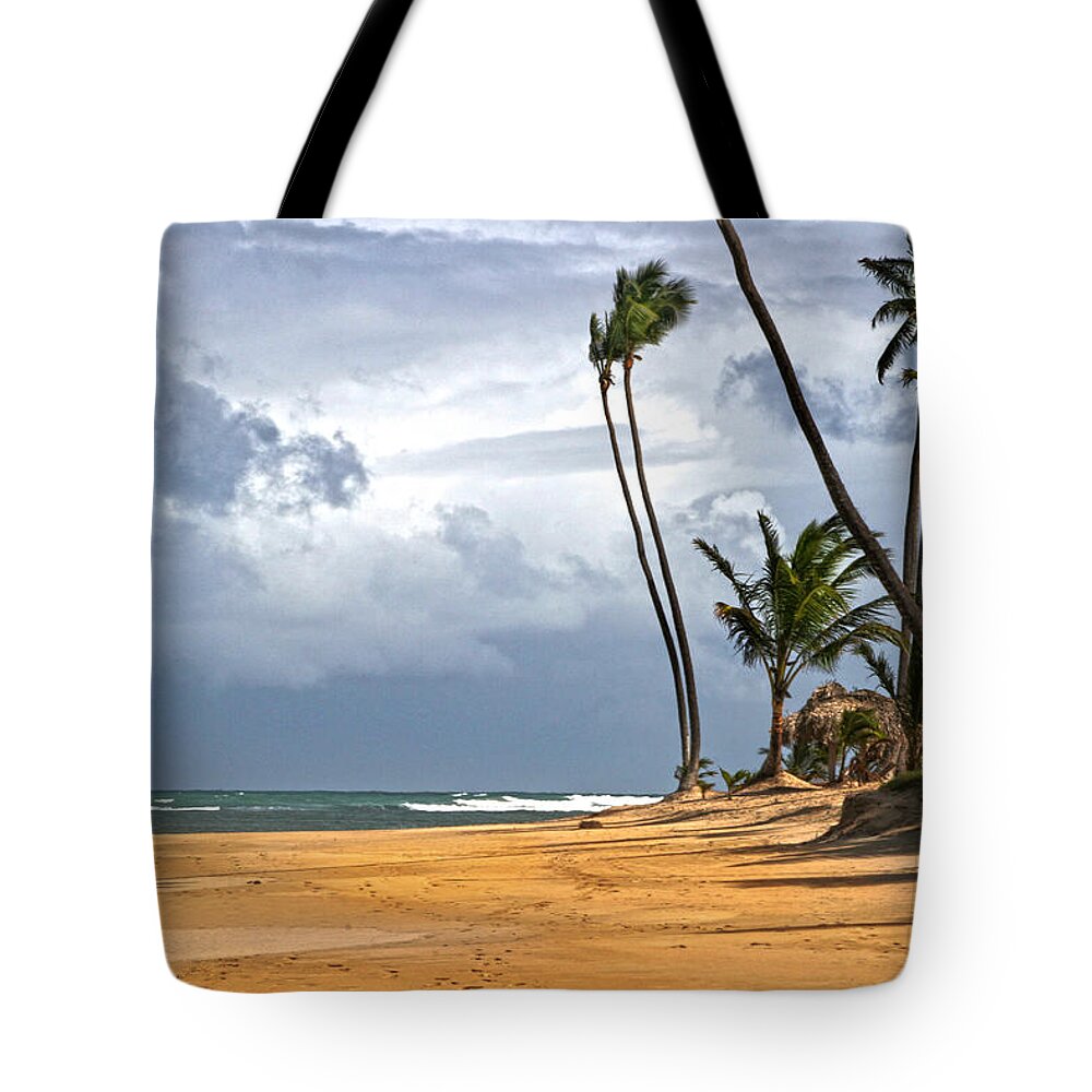 Palms Tote Bag featuring the photograph Sway by Robert Och